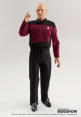 Illustration for article titled Captain Picard Collectible Figure Is Big, Bald, and Beautiful